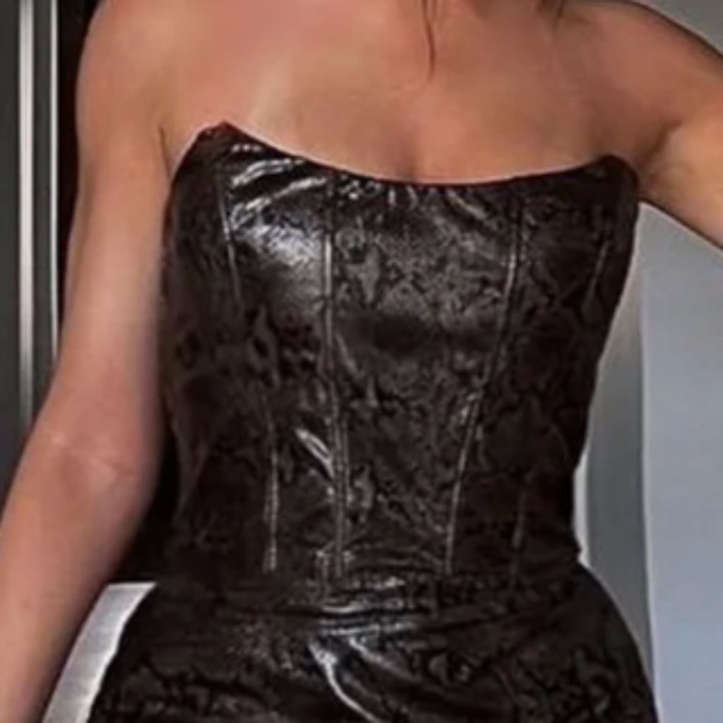 Snake Print Corset (Size Medium)